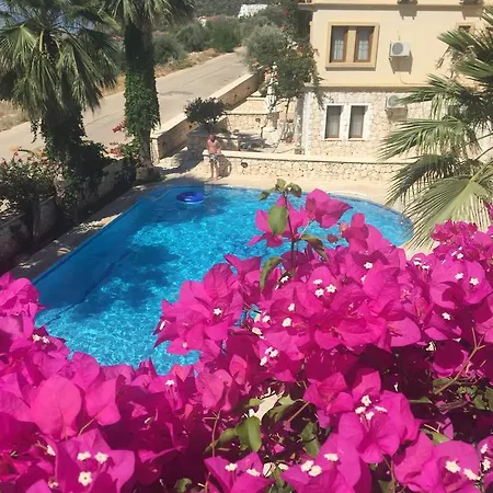 Hatice Sultan מלון דירות *