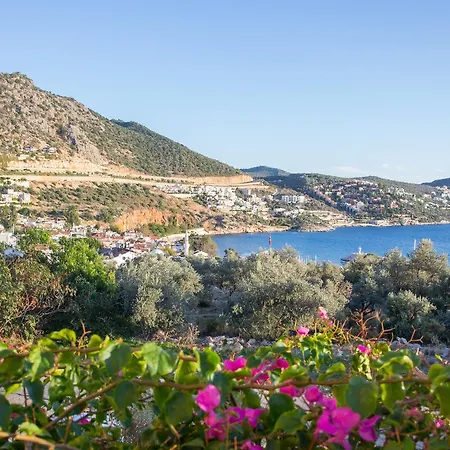 Hatice Sultan * קלקן