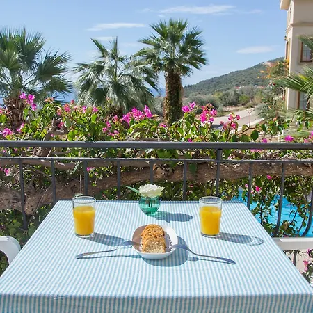 Hatice Sultan קלקן